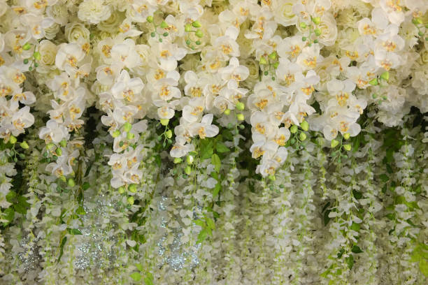 istock Green and white flower texture background for wedding scene 944691772