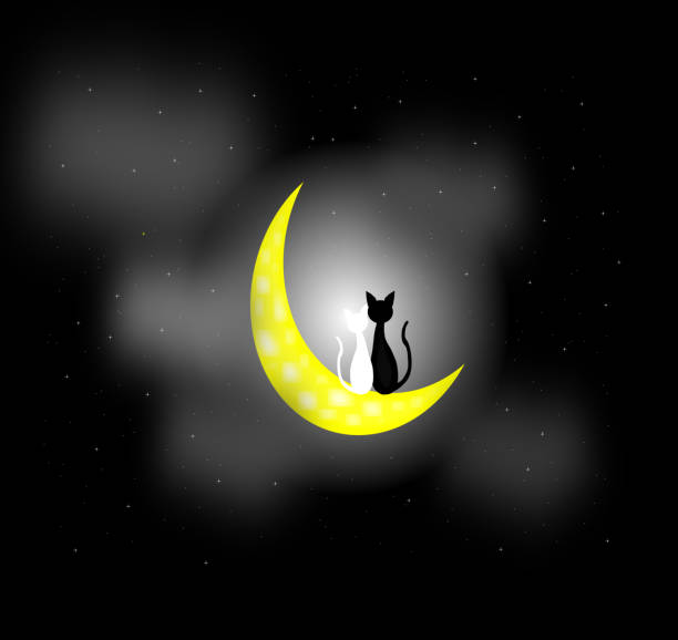 ilustrações, clipart, desenhos animados e ícones de dois gatos no amor sentado na lua crescente durante a noite, o casal amante, vetor - couple in love