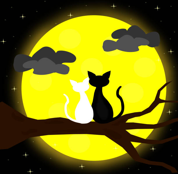 istock two cats in love sitting on dry tree with Full Moon at night,lover couple,cartoon style,animals vector. 944700140