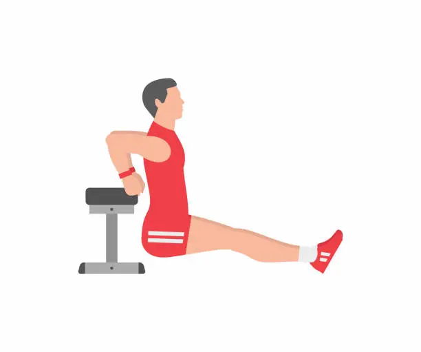 Vector illustration of Man doing triceps dip exercise on bench