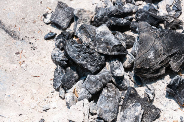 charbon ashes - 3369 photos et images de collection