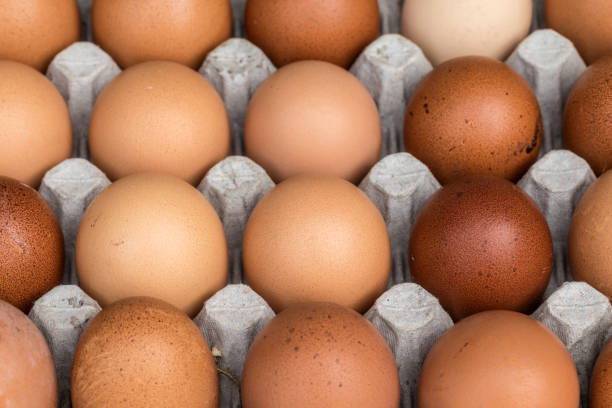 istock Chicken eggs pallet from the farm 944711876