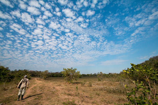 A tour guide walks through the Pantanal wilderness in the famous national park