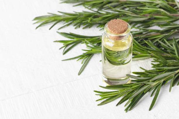 istock Oil of rosemary 944714890