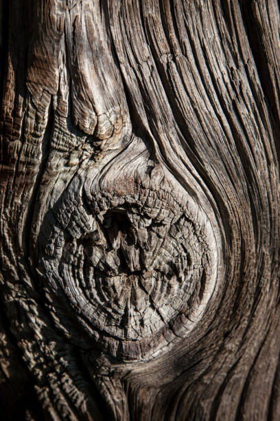 Old piece of wood