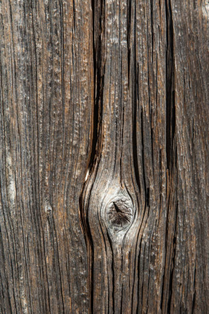 istock Old piece of wood 944721096