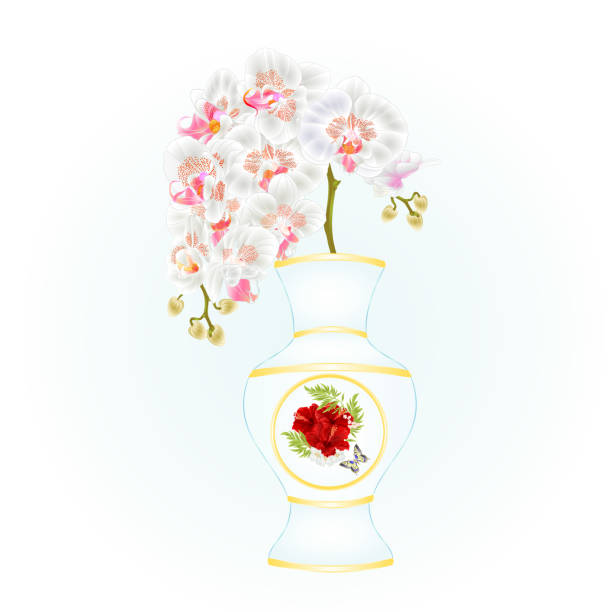 ilustrações de stock, clip art, desenhos animados e ícones de white orchid phalenopsis in a vase of porcelain red hibiscus and butterfly  vintage vector illustration editable - butterfly single flower vector illustration and painting