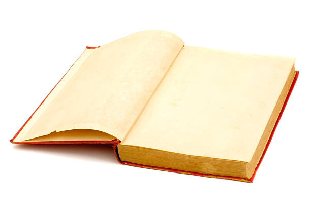 istock Blank pages of a old book 94473602