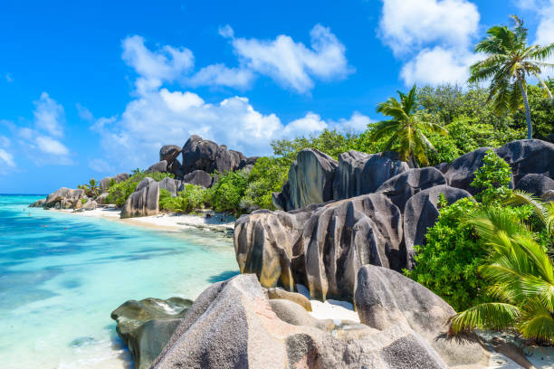 istock Source d'Argent Beach at island La Digue, Seychelles - Beautifully shaped granite boulders and rock formation - Paradise beach and tropical destination for vacation 944743014