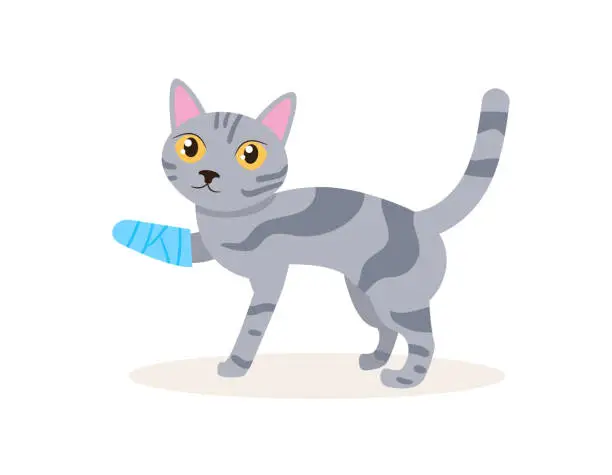 Vector illustration of Cat with a broken leg Vector. Cartoon