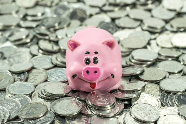istock Silver coins and piggy bank 944771346