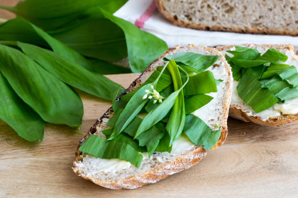 Sourdough bread with butter and wild garlic leaves