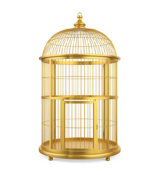 istock Golden Birdcage Isolated 944775846