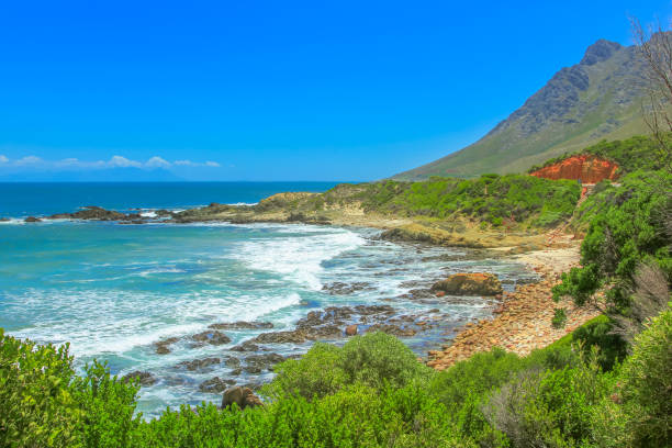 istock Rooi Els Clarence Drive 944776096