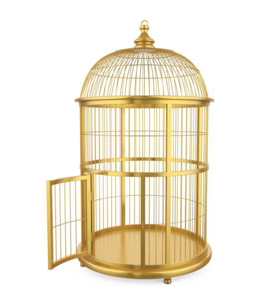 istock Golden Birdcage Isolated 944776190