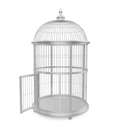 Empty bird white cage Isolated on white background, 3D rendering