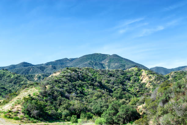 istock Southern California spring morning 944785190