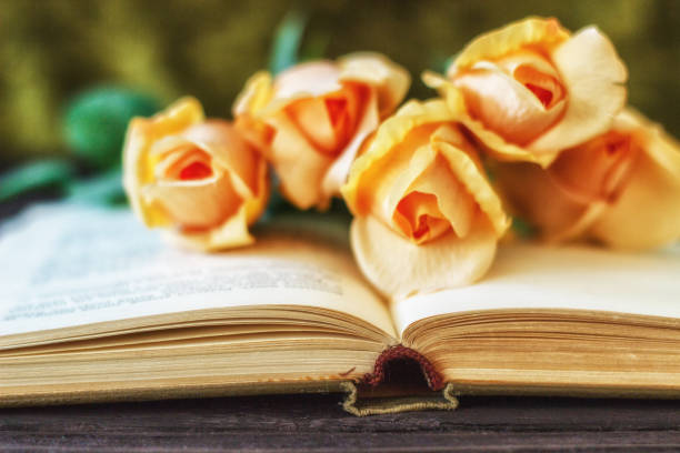 istock open book flowers roses on a wooden background with copy space, top view 944800510