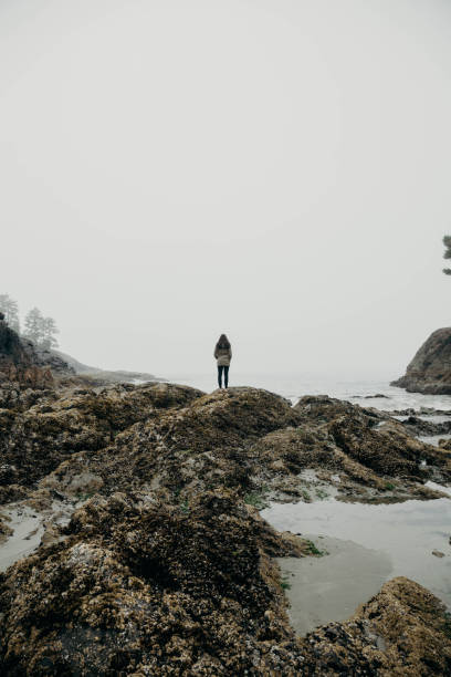 istock Young woman exploring the coastline 944807846