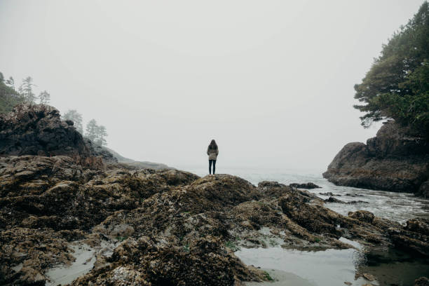 istock Young woman exploring the coastline 944807850