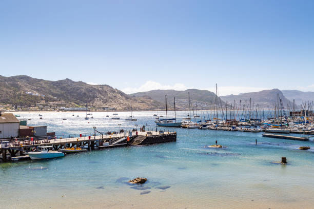 istock Simonstown, South Africa 944815724