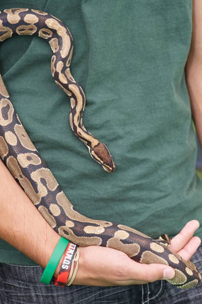 istock teenager with snake 944818742