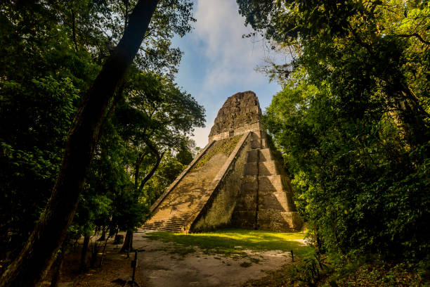 piramide maya e tempio nel parco nazionale tikal in guatemala nella giungla - mayan temple old ruin ancient foto e immagini stock