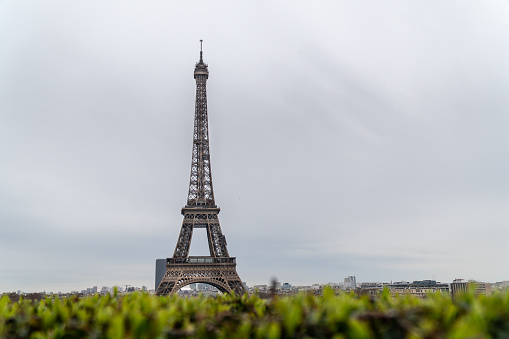 November 22, 2019, Paris. Restored Citroen 2CVs available for personal tours of Paris. They are very popular as a backdrop for tourist selfies in front of the Eiffel Tower. Here they are seen on a clear and bright autumn afternoon.