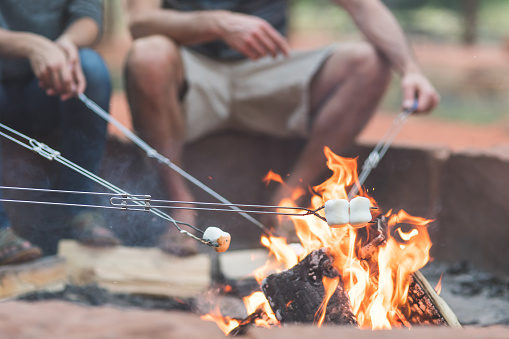 Close-up shot of a campfire with four metal skewers roasting marshmallows on a summer evening.