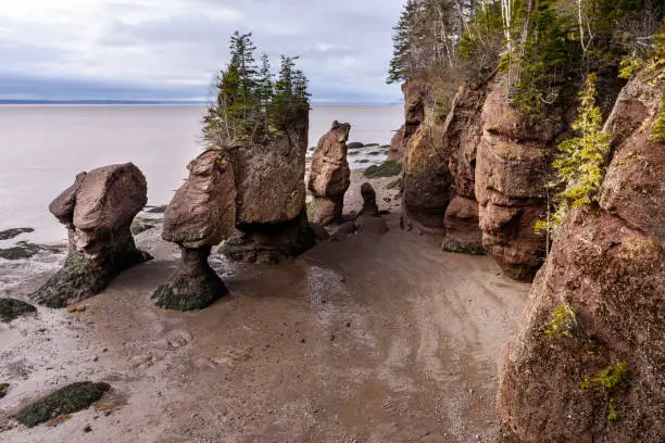 Hopewell Rocks Bay of Fundy during lowtide in March