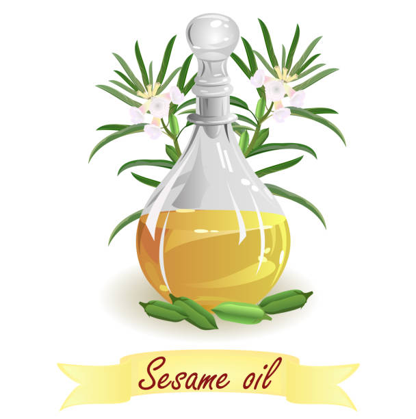 참 깨 오일, 벡터 일러스트 레이 션입니다. - sesame cooking oil ingredient seasoning stock illustrations