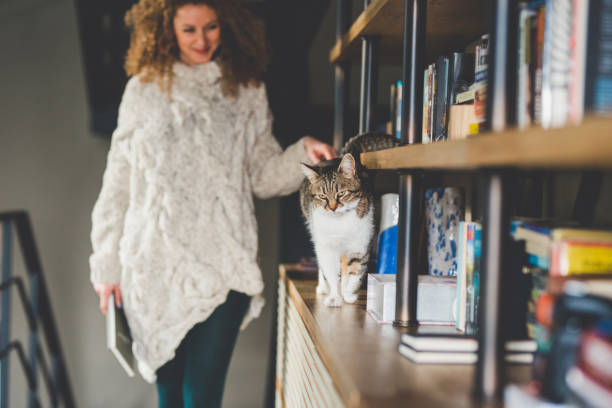 istock Owner playing with cute funny cat at home 944847188