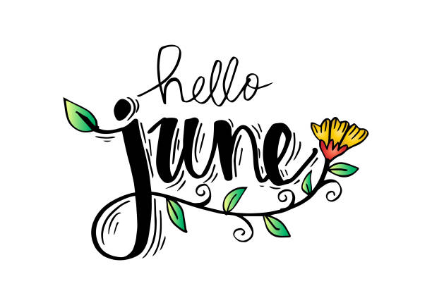 Hello June hand lettering, greeting card. Hello June hand lettering, greeting card. june stock illustrations