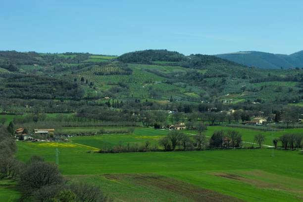 istock Panoramic view of Italian hills and fields (Spello, Umbria, Italy) 944861192