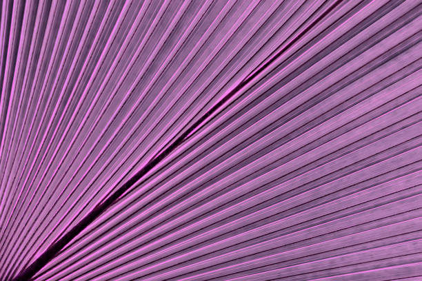 istock Tropical leaf palm. Abstract natural pattern texture, exotic geometric violet background 944865554