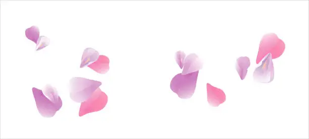 Vector illustration of Pink Violet flying petals isolated on White background. Sakura Roses petals. Vector