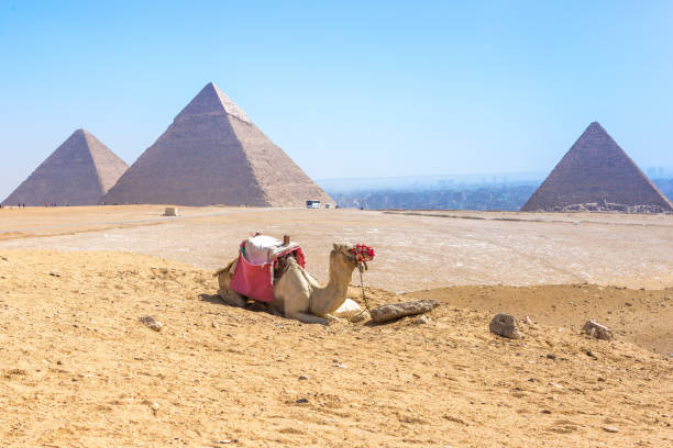 istock The pyramids at Giza in Egypt 944872216