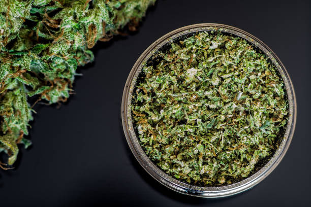 istock buds of marijuana,grinder with crushed weed cannabis, on a black 944890438