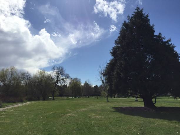 istock Spring in Vancouver. Trout Lake Park. 944893896