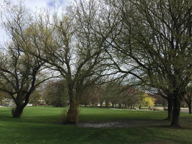 istock Spring in Vancouver. Trout Lake Park. 944894108