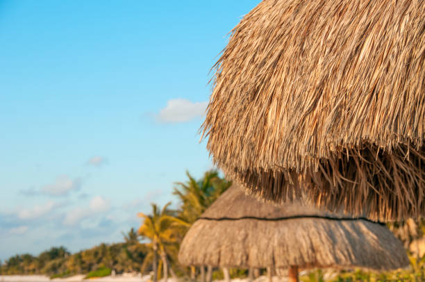 istock Palapa on empty tropical beach at sunrise 944906694