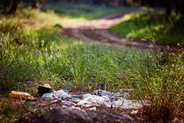 istock Pile of garbage on green grass in the nature environment problems 944910242