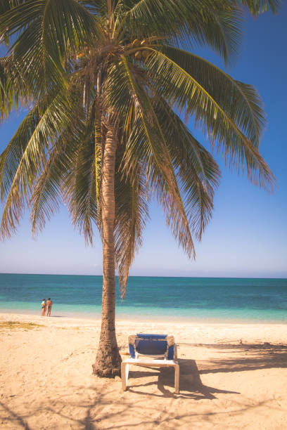 istock Beach in Trinidad, Cuba 944923492