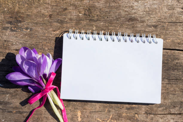 istock Purple crocus flowers and blank notepad  on rustic wooden background 944923638