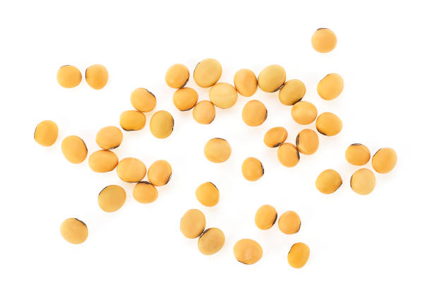 Lots of soybeans arranged on a white background