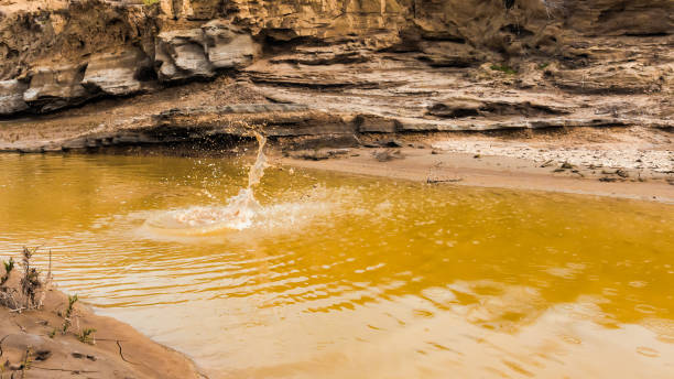 salpicaduras de agua en el río de la montaña - splash mountain fotografías e imágenes de stock