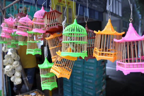 Colorful lucky cricket cages in China.