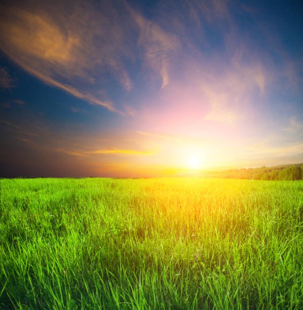 istock green field and beautiful sunset 944937958