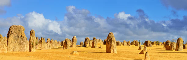 the pinnacles desert, western australia - nambung national park imagens e fotografias de stock