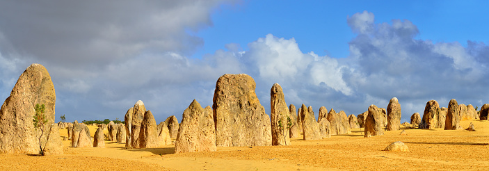 The Pinnacles Desert at sunny day, Western Australia.